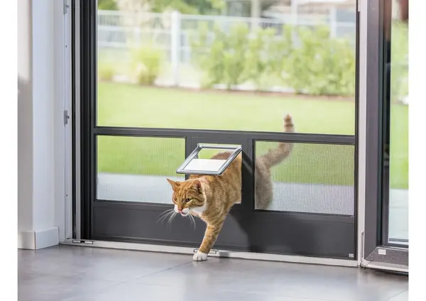 Eine orangefarbene Katze geht durch eine Katzenklappe in einer Fliegengittertür nach draußen.